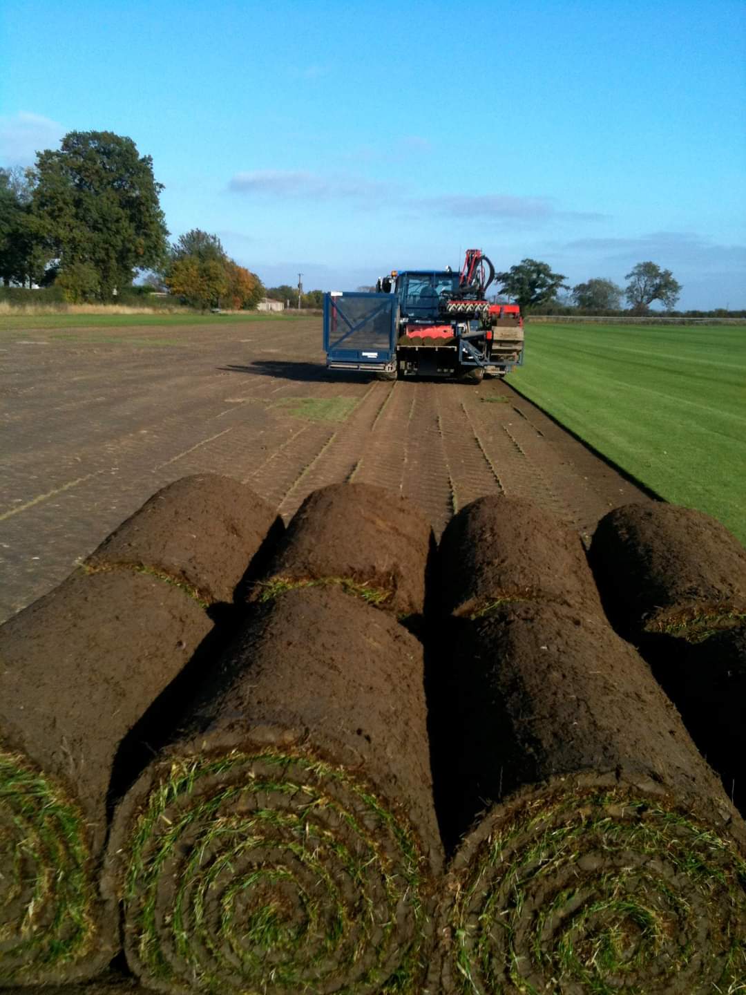 Fylde turf